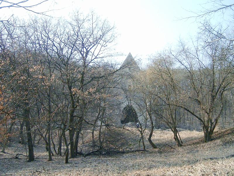 20110312 044.jpg